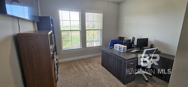 office featuring light colored carpet