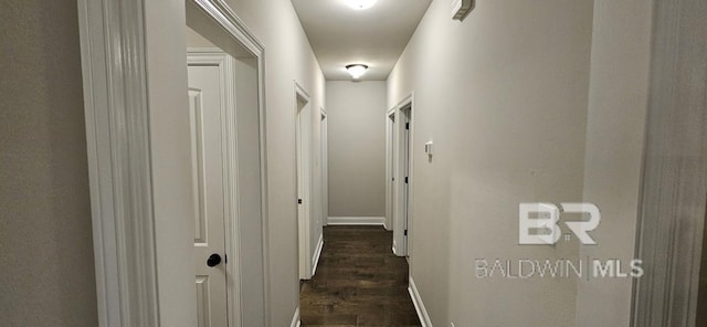 hall featuring dark wood-type flooring