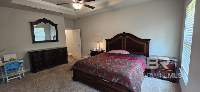 carpeted bedroom with a tray ceiling, ceiling fan, and multiple windows