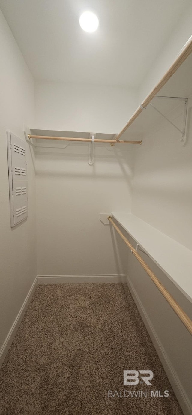 walk in closet with carpet flooring