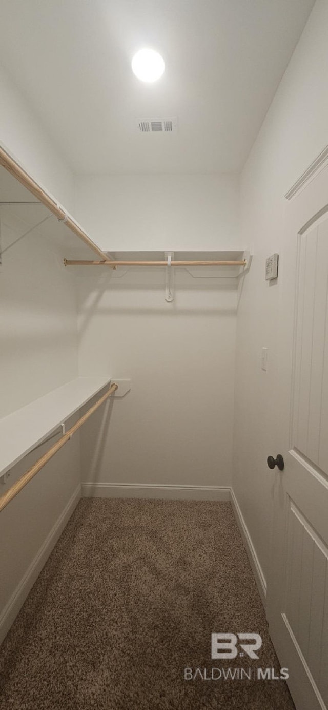 walk in closet featuring carpet flooring