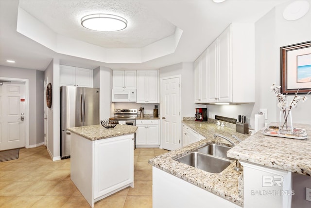 kitchen featuring a tray ceiling, a center island, stainless steel appliances, a sink, and light stone countertops