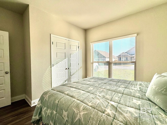 bedroom with dark hardwood / wood-style flooring and a closet