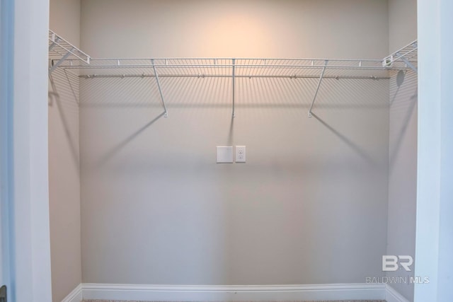 view of spacious closet