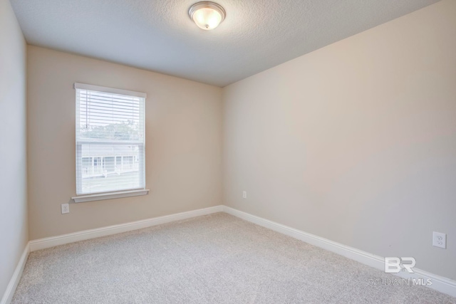 empty room featuring carpet flooring and a textured ceiling