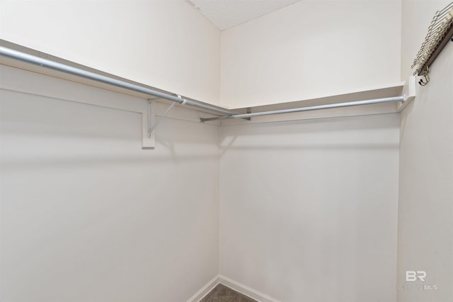 25779 Austin Rd, Daphne, AL 36526 - view of walk in closet