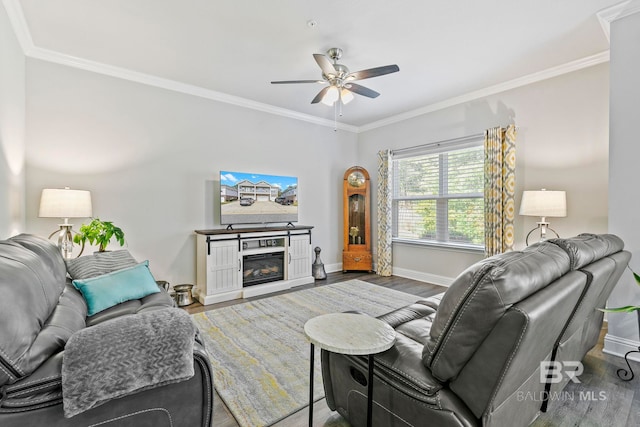 living room with a fireplace, hardwood / wood-style floors, ceiling fan, and crown molding