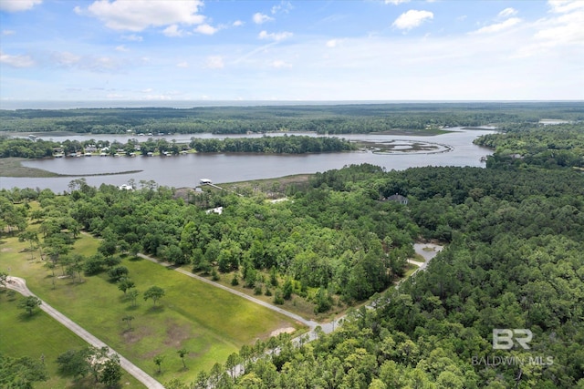 Sonneborn Dr, Theodore, AL 36582