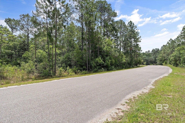 Sonneborn Dr, Theodore, AL 36582