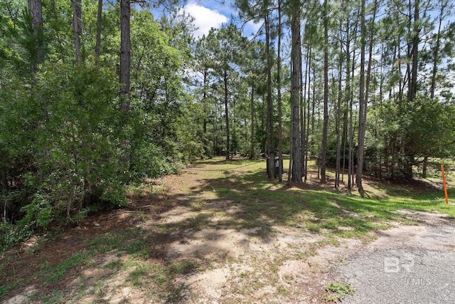 Sonneborn Dr, Theodore, AL 36582