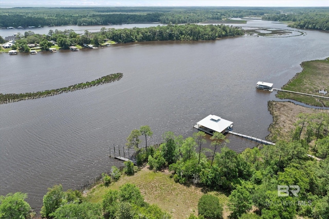 Sonneborn Dr, Theodore, AL 36582