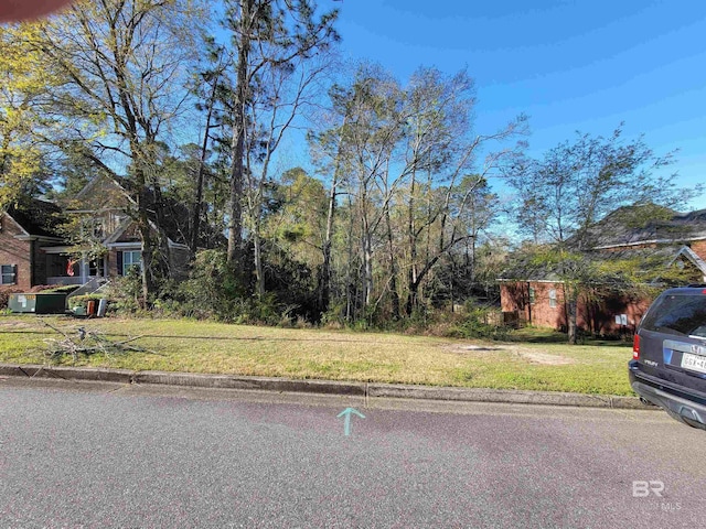 6595 S Lubarrett Way, Mobile AL, 36695 land for sale