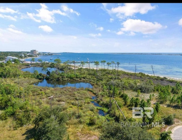 water view