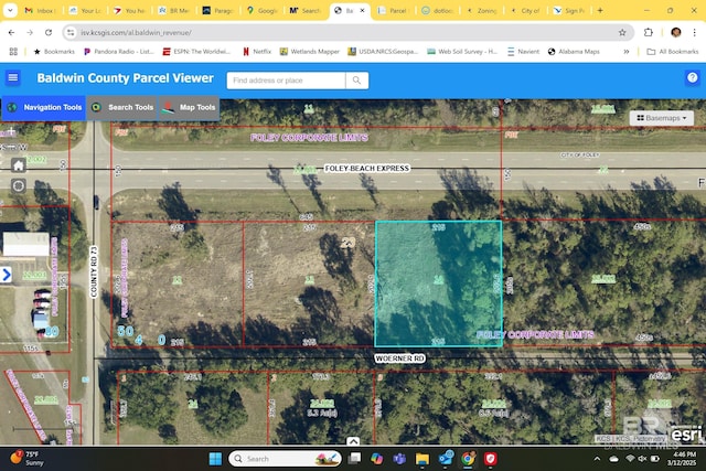 20121 Woerner Rd, Foley AL, 36535 land for sale