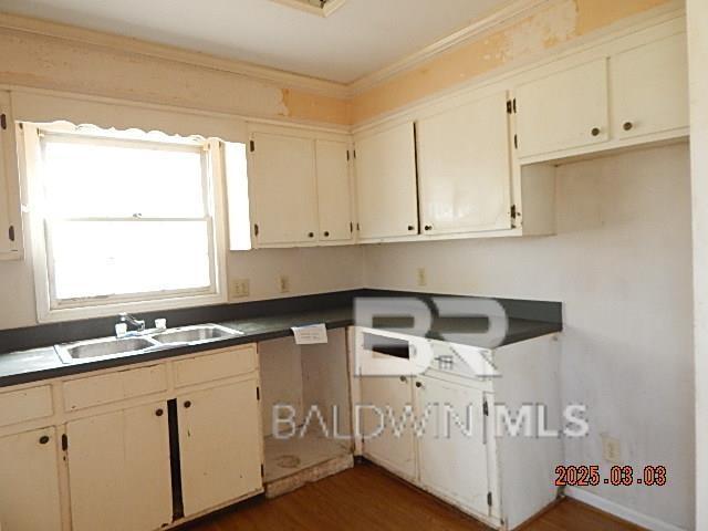 kitchen featuring dark countertops, ornamental molding, dark wood finished floors, and a sink