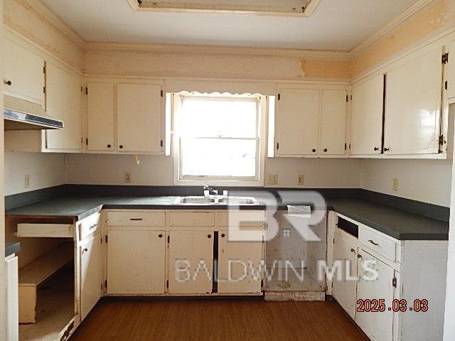 kitchen with under cabinet range hood, a sink, dark countertops, dark wood finished floors, and crown molding