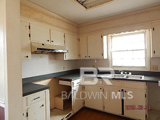 kitchen featuring dark countertops, dark wood-style floors, crown molding, under cabinet range hood, and a sink