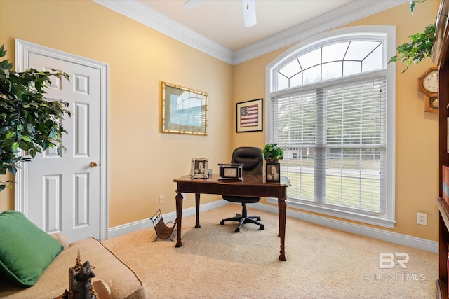 carpeted home office with crown molding, a ceiling fan, and baseboards