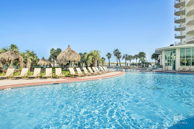 view of swimming pool with a patio