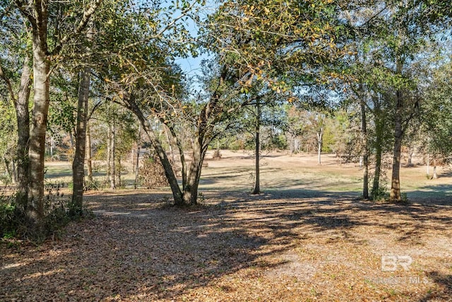 Listing photo 2 for 000 County Road 26, Foley AL 36535