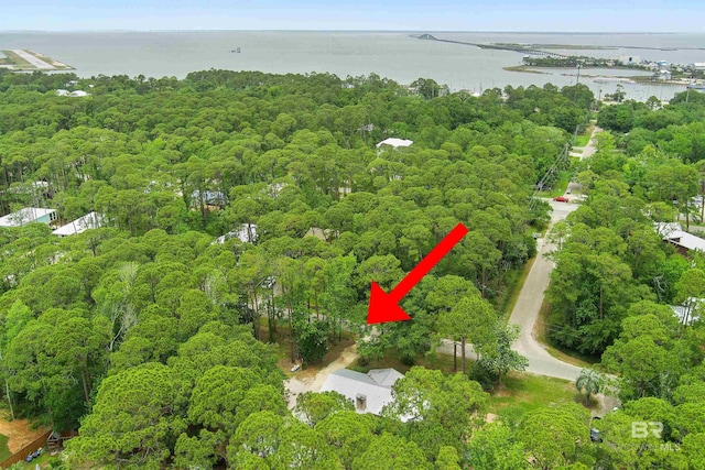 1101 Alabama Ave, Dauphin Island, AL 36528 - aerial view of a nearby body of water and a heavily wooded area
