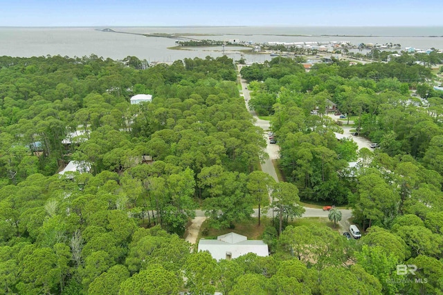 1101 Alabama Ave, Dauphin Island, AL 36528 - aerial overview of property's location with a large body of water and a forest