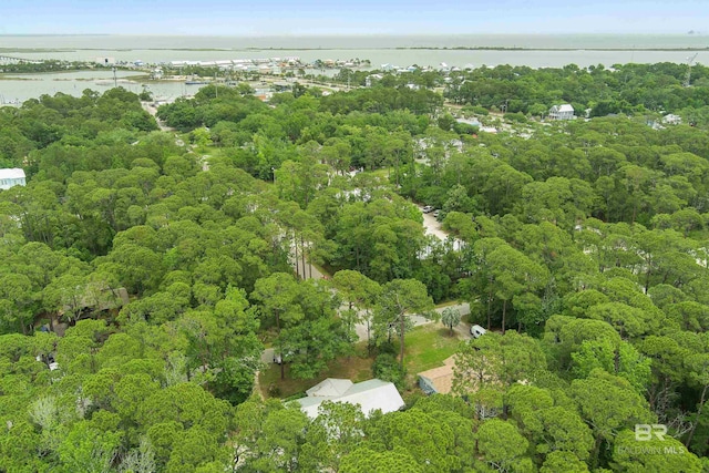 1101 Alabama Ave, Dauphin Island, AL 36528 - view of property location with a nearby body of water and a forest