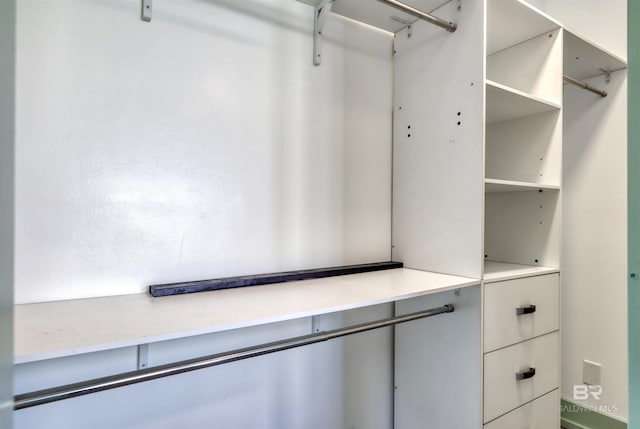 view of walk in closet