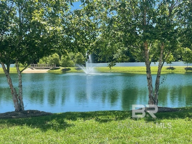 view of water feature