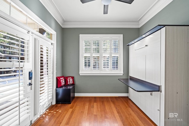 spacious closet featuring ceiling fan and light hardwood / wood-style floors