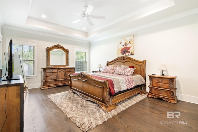 bedroom featuring a tray ceiling, multiple windows, and ceiling fan