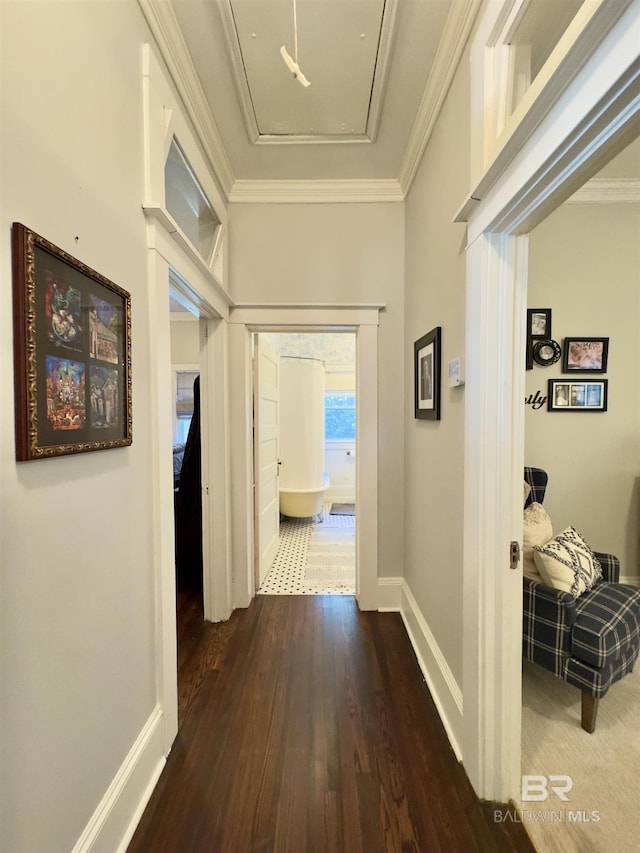 900 Hand Ave, Bay Minette, AL 36507 - hall with dark wood-style floors, baseboards, and crown molding