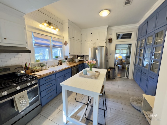 900 Hand Ave, Bay Minette, AL 36507 - kitchen with stainless steel appliances, under cabinet range hood, blue cabinets, a sink, and white cabinetry