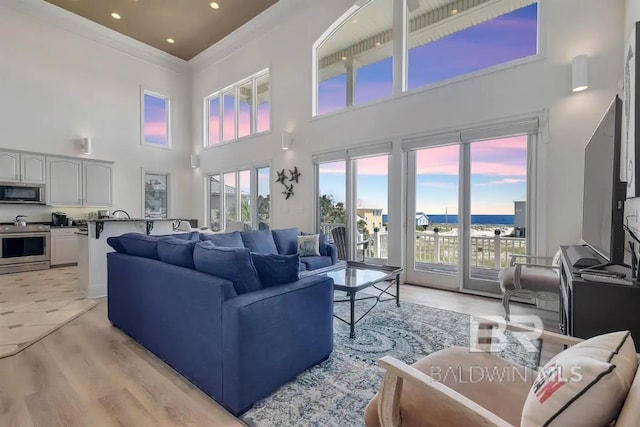 living room with a high ceiling and light wood-type flooring