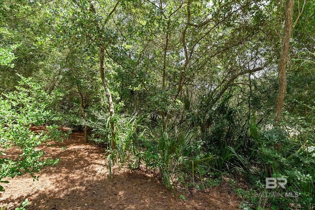 1430 Regency Rd Unit C103, Gulf Shores, AL 36542 - view of woods