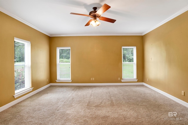 carpeted spare room featuring ceiling fan and crown molding