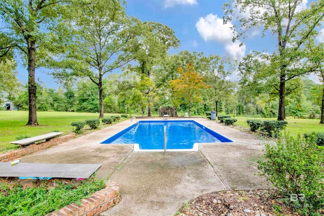 view of swimming pool featuring a patio and a lawn