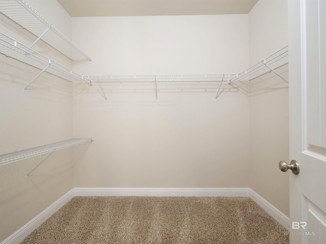 1234 Surrey Loop, Foley, AL 36535 - spacious closet featuring carpet flooring