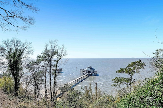 dock area featuring a water view