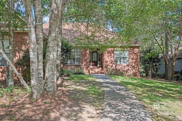 view of front of house with a front yard