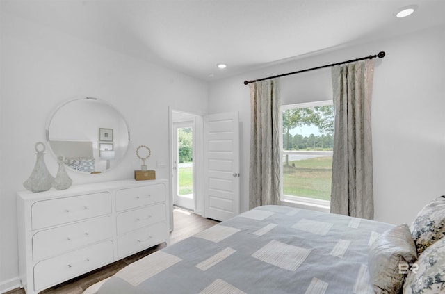 bedroom with access to exterior, wood-type flooring, and multiple windows