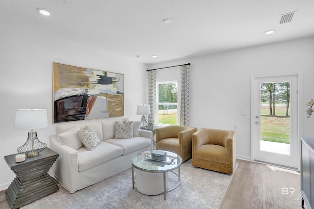 living room with light hardwood / wood-style flooring and a healthy amount of sunlight