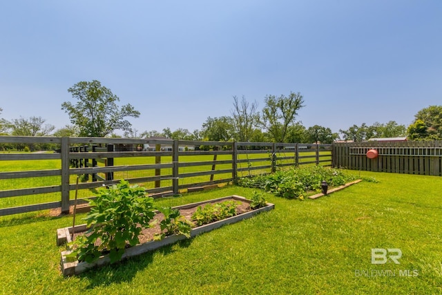 view of yard with a rural view