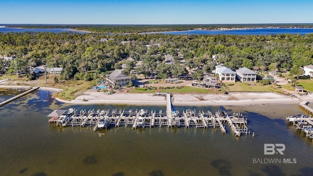 bird's eye view featuring a water view and a view of trees