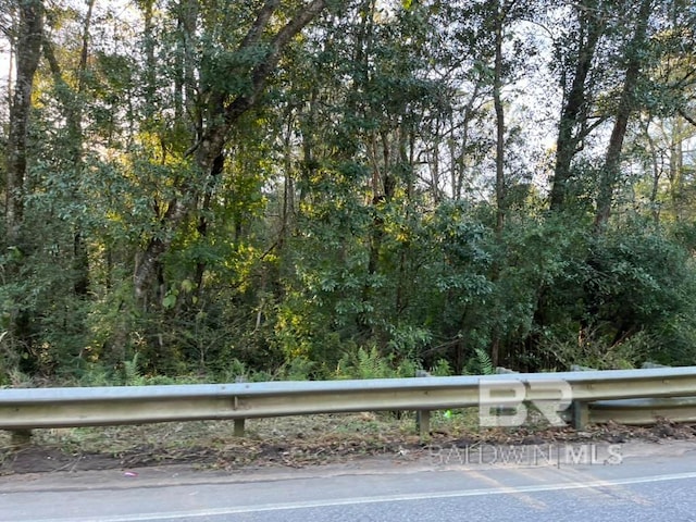 Listing photo 3 for 0 County Road 55, Loxley AL 36551