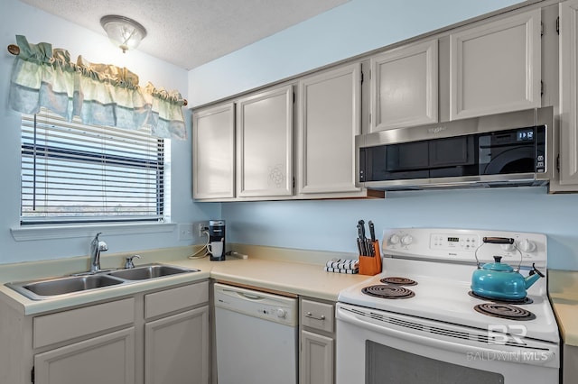 kitchen featuring a sink, white appliances, a textured ceiling, and light countertops