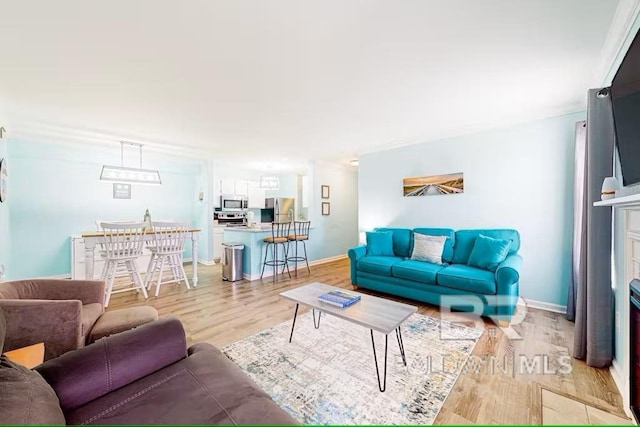 living room with light wood-type flooring