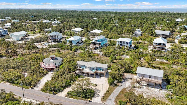 bird's eye view of a forest