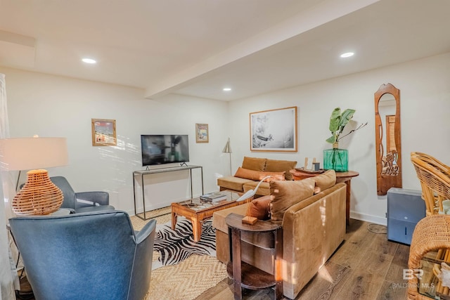 living room with hardwood / wood-style floors