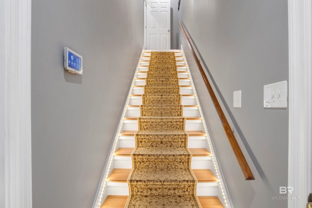 staircase with hardwood / wood-style floors